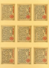 Enlarge photo 40