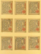 Enlarge photo 44