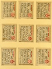 Enlarge photo 58