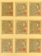 Enlarge photo 62