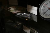 Enlarge photo 35
