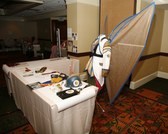 Mad Science Fair