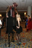 Enlarge photo 16