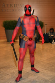 Enlarge photo 19