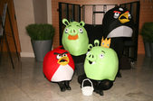 Enlarge photo 23
