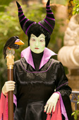 Enlarge photo 35