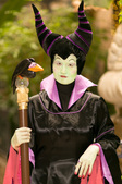 Enlarge photo 36