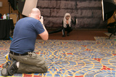 Enlarge photo 28