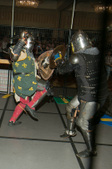 Enlarge photo 95