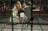 Enlarge photo 96