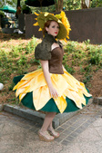 Enlarge photo 32