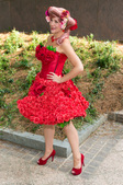 Enlarge photo 35