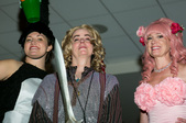 Enlarge photo 157