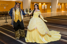 Enlarge photo 153
