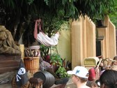 Enlarge photo 22