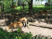 Enlarge photo 28