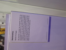 Enlarge photo 57