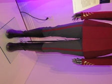 Enlarge photo 67