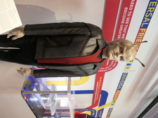 Enlarge photo 174