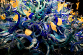 Enlarge photo 16