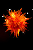Enlarge photo 34