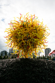 Enlarge photo 46