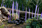 Enlarge photo 47