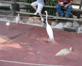 Enlarge photo 25