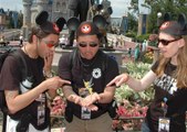 Disney's Magic Kingdom - Sunday