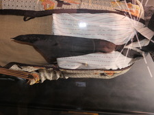 Enlarge photo 21