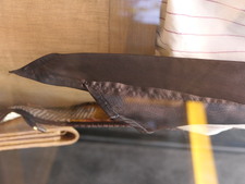 Enlarge photo 25