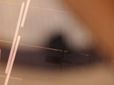 Enlarge photo 65