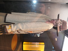 Enlarge photo 81