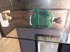 Enlarge photo 151