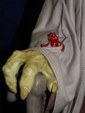 Enlarge photo 10