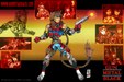 Enlarge photo 26