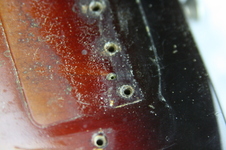 Enlarge photo 87