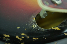 Enlarge photo 34