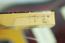 Enlarge photo 37