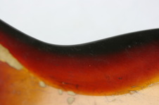 Enlarge photo 40