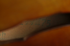 Enlarge photo 33