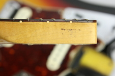 Enlarge photo 105