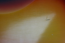 Enlarge photo 41