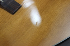 Enlarge photo 43