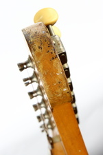 Enlarge photo 5