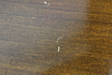 Enlarge photo 27