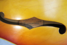 Enlarge photo 37