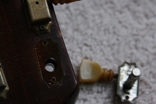 Enlarge photo 45