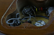Enlarge photo 58
