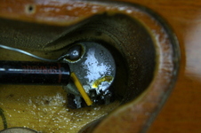 Enlarge photo 50